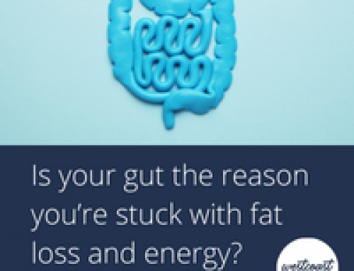 Is your gut the reason you’re stuck with fat loss and energy?